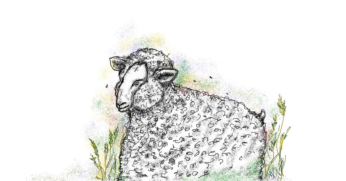 Drawing of Sheep by Babyone