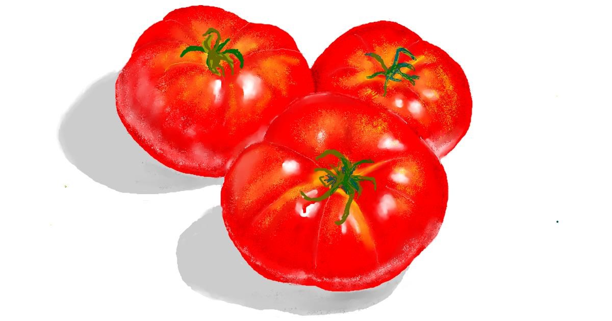 Drawing of Tomato by GJP