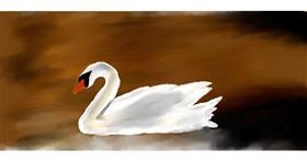 Drawing of Swan by Sana