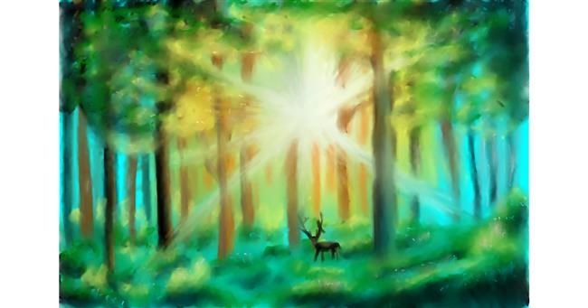 Drawing of Forest by Wizard