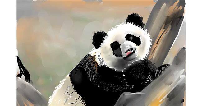 Drawing of Panda by Rose rocket