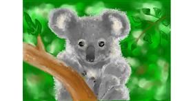 Drawing of Koala by Kira
