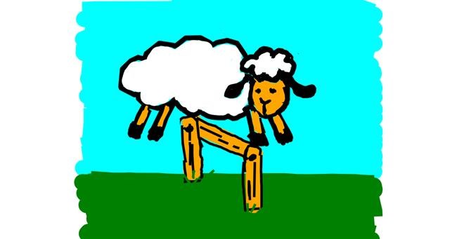 Drawing of Sheep by Kamie