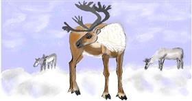 Drawing of Reindeer by Maggy