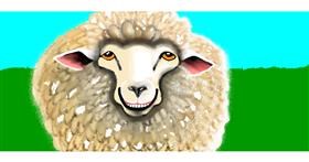 Drawing of Sheep by Sumafela