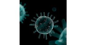 Drawing of Bacteria by Joze