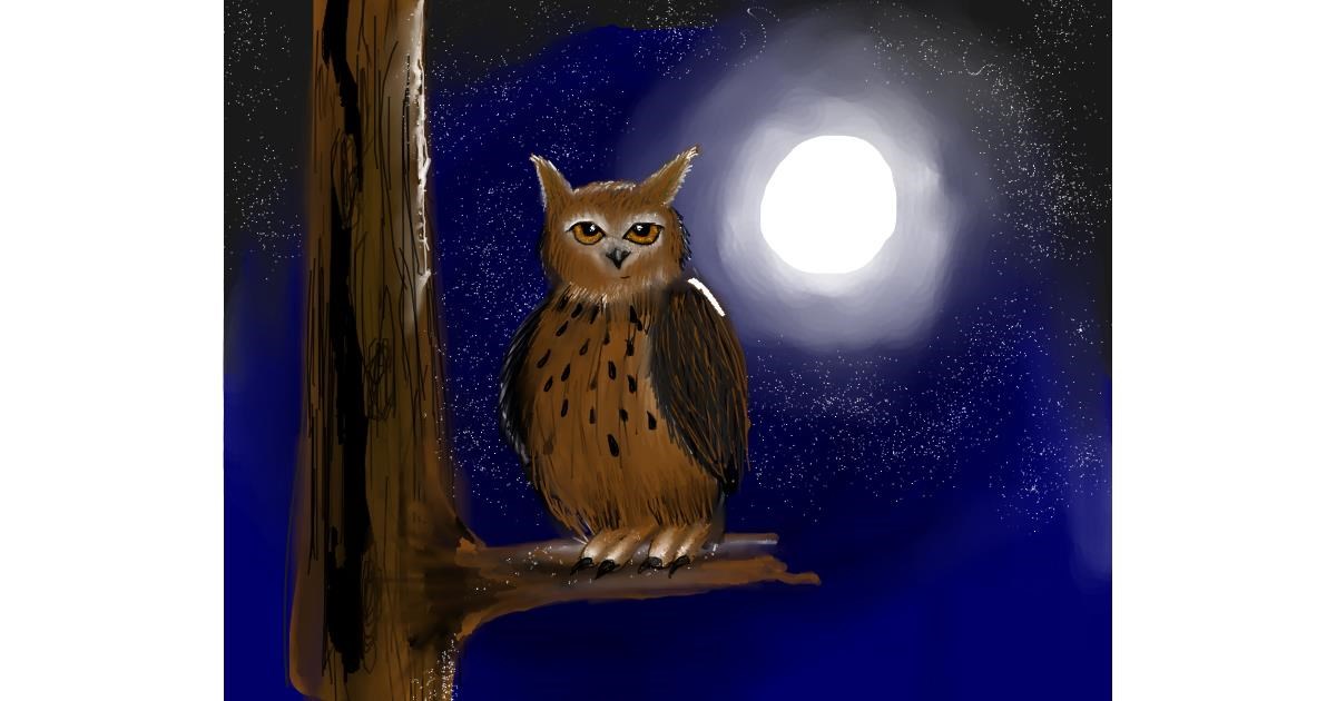Drawing of Owl by Tokyo