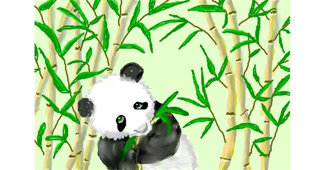 Drawing of Bamboo by Debidolittle