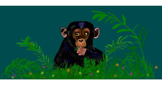 Drawing of Monkey by Gillian