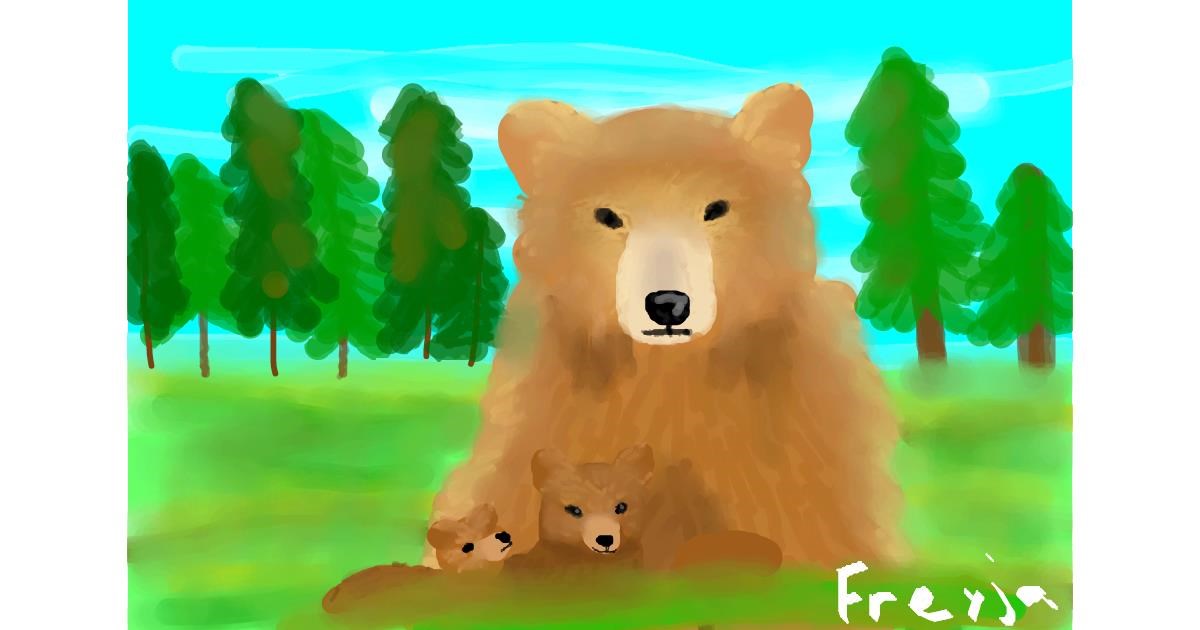 Drawing of Bear by jess