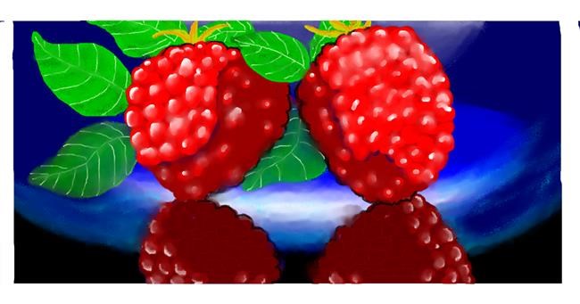 Drawing of Raspberry by DebbyLee