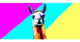 Drawing of Llama by Annie