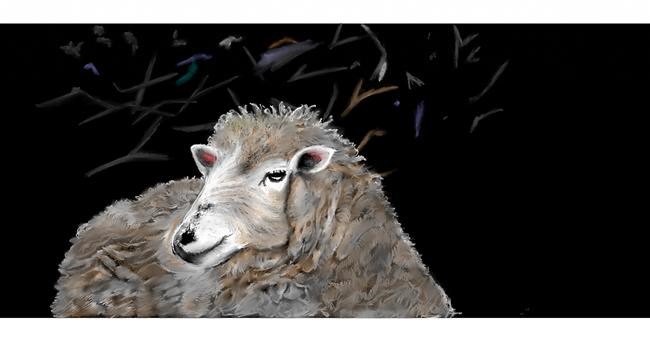 Drawing of Sheep by Chaching