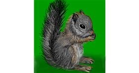 Drawing of Squirrel by KayXXXlee