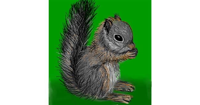 Drawing of Squirrel by KayXXXlee