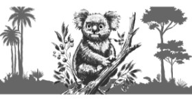 Drawing of Koala by Annie