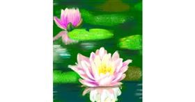 Drawing of Water lily by Muns