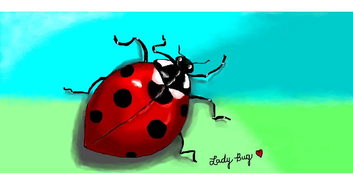 Drawing of Ladybug by Debidolittle