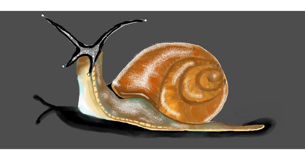 Drawing of Snail by Debidolittle