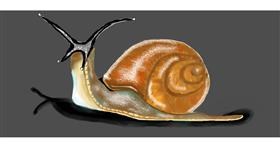 Drawing of Snail by Debidolittle