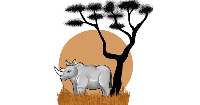 Drawing of Rhino by Mitra