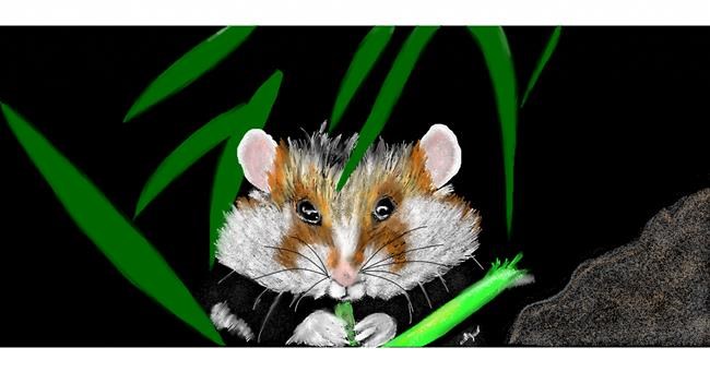 Drawing of Hamster by Chaching