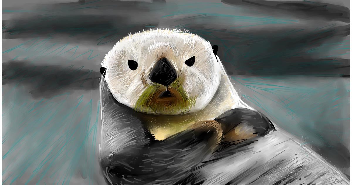 Drawing of Otter by Soaring Sunshine