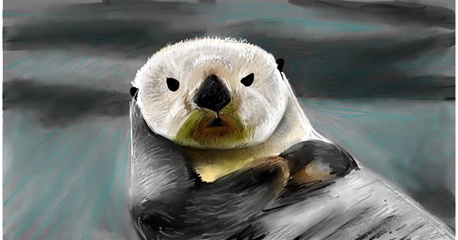 Otter-Zeichnung von Mia