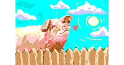 pig