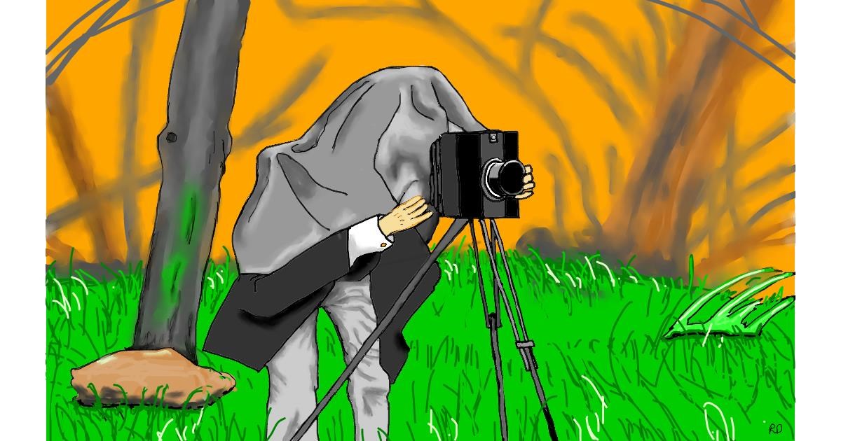 Watch Flowerpot Draw Camera