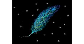 Drawing of Feather by Tara