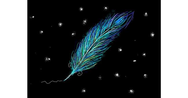 Drawing of Feather by Tara