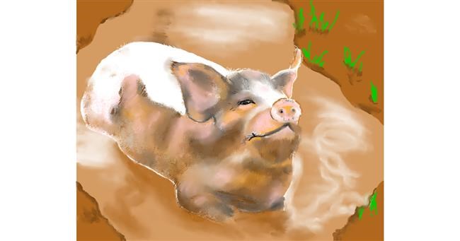 Drawing of Pig by Cec
