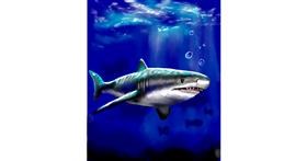 Drawing of Shark by Яandi