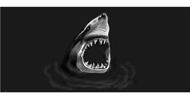 Drawing of Shark by Soraya