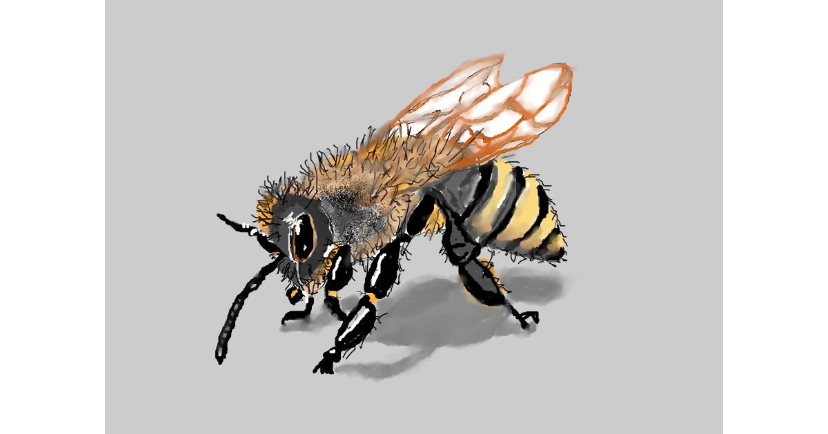 Drawing of Bee by Debidolittle