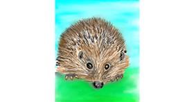 Drawing of Hedgehog by Vinci