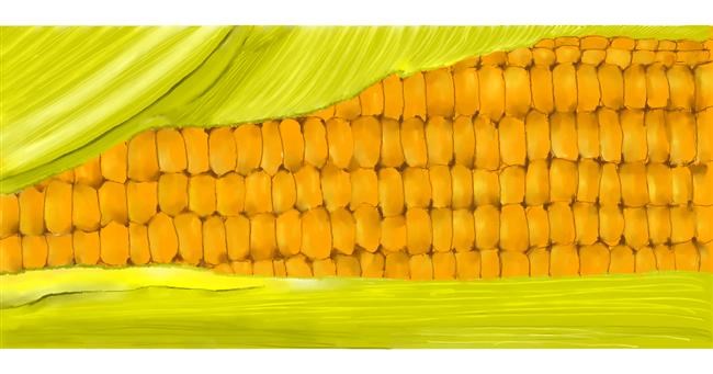 Drawing of Corn by Kim