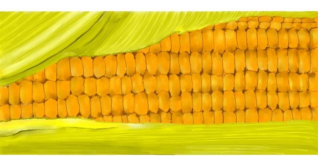 Drawing of Corn by Kim