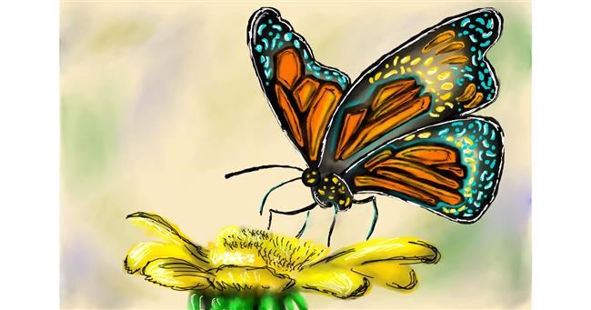 Schmetterling-Zeichnung von Wizard