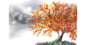 Drawing of Tree by Wizard