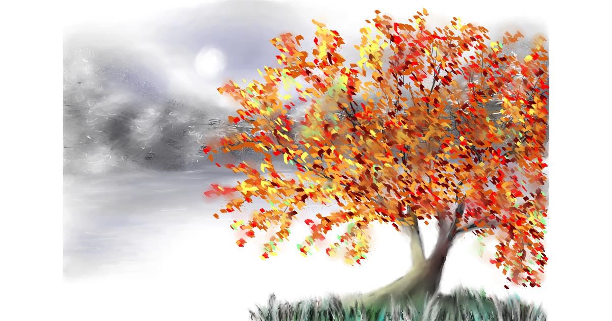 Watch Wizard draw Tree!