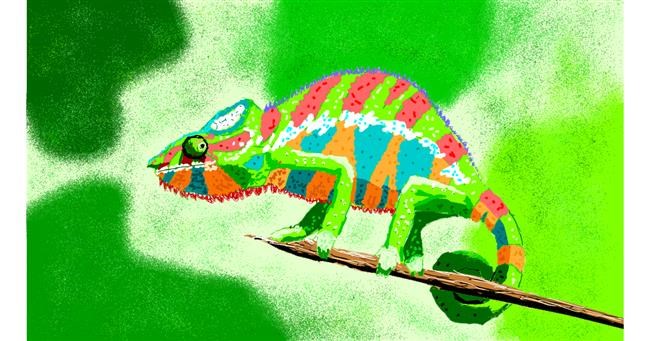 Drawing of Chameleon by Sam
