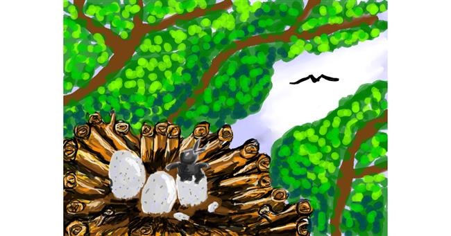 Drawing of Nest by Michelle
