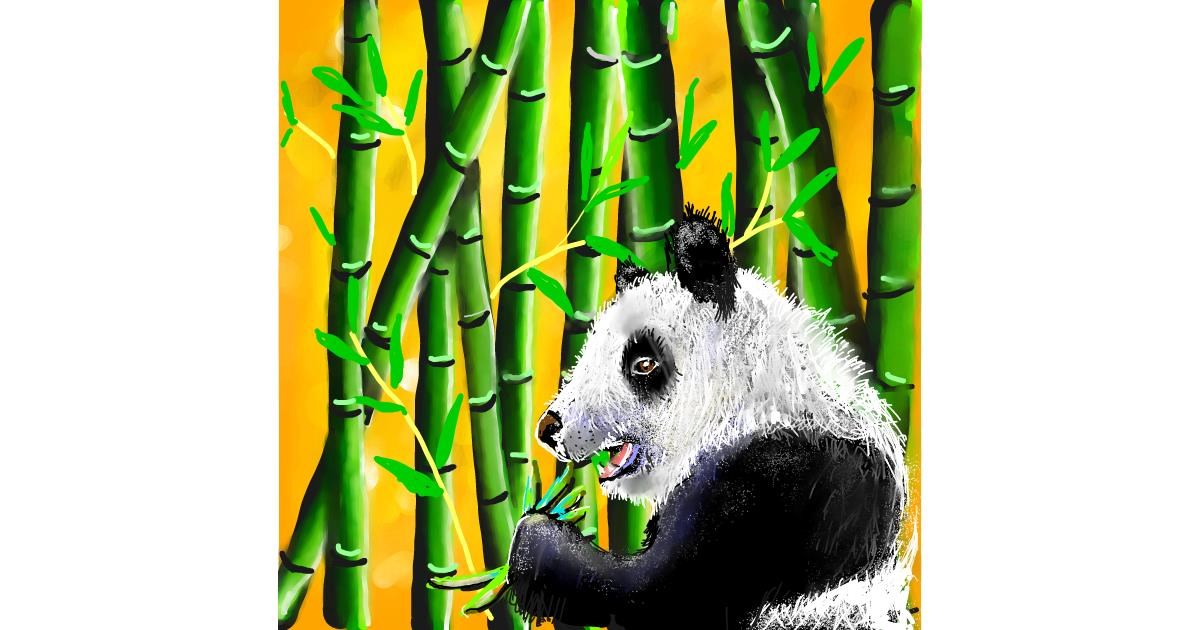Drawing of Bamboo by Leah