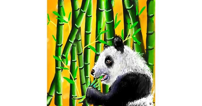 Drawing of Bamboo by Leah