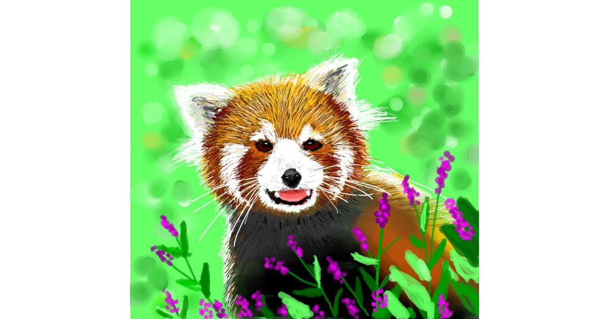 Drawing of Red Panda by mr yj