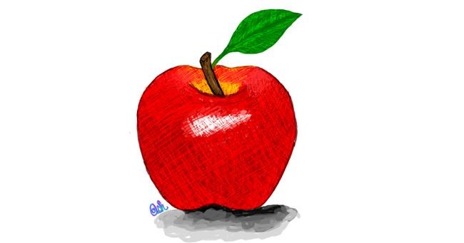 Drawing of Apple by Ashley
