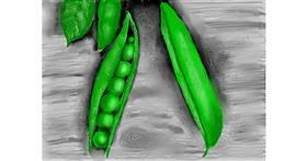 Drawing of Peas by SAM AKA MARGARET 🙄