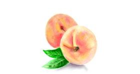 Drawing of Peach by ⋆su⋆vinci彡